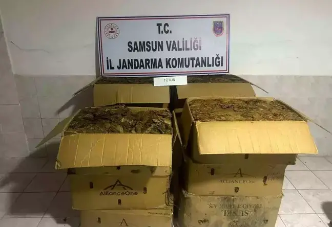 Samsun’da Kaçak Tütün Hırsızlığı: 135 Kilo Ele Geçirildi